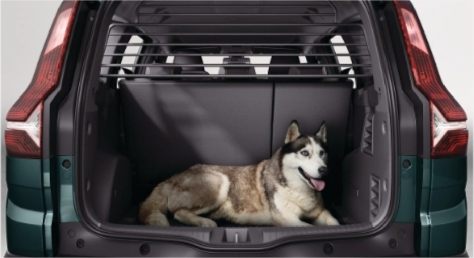 Dog Guard